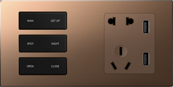 Keys+Socket Smart Switch 2 Gang
